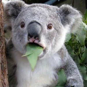 Meet your Posher, Jon